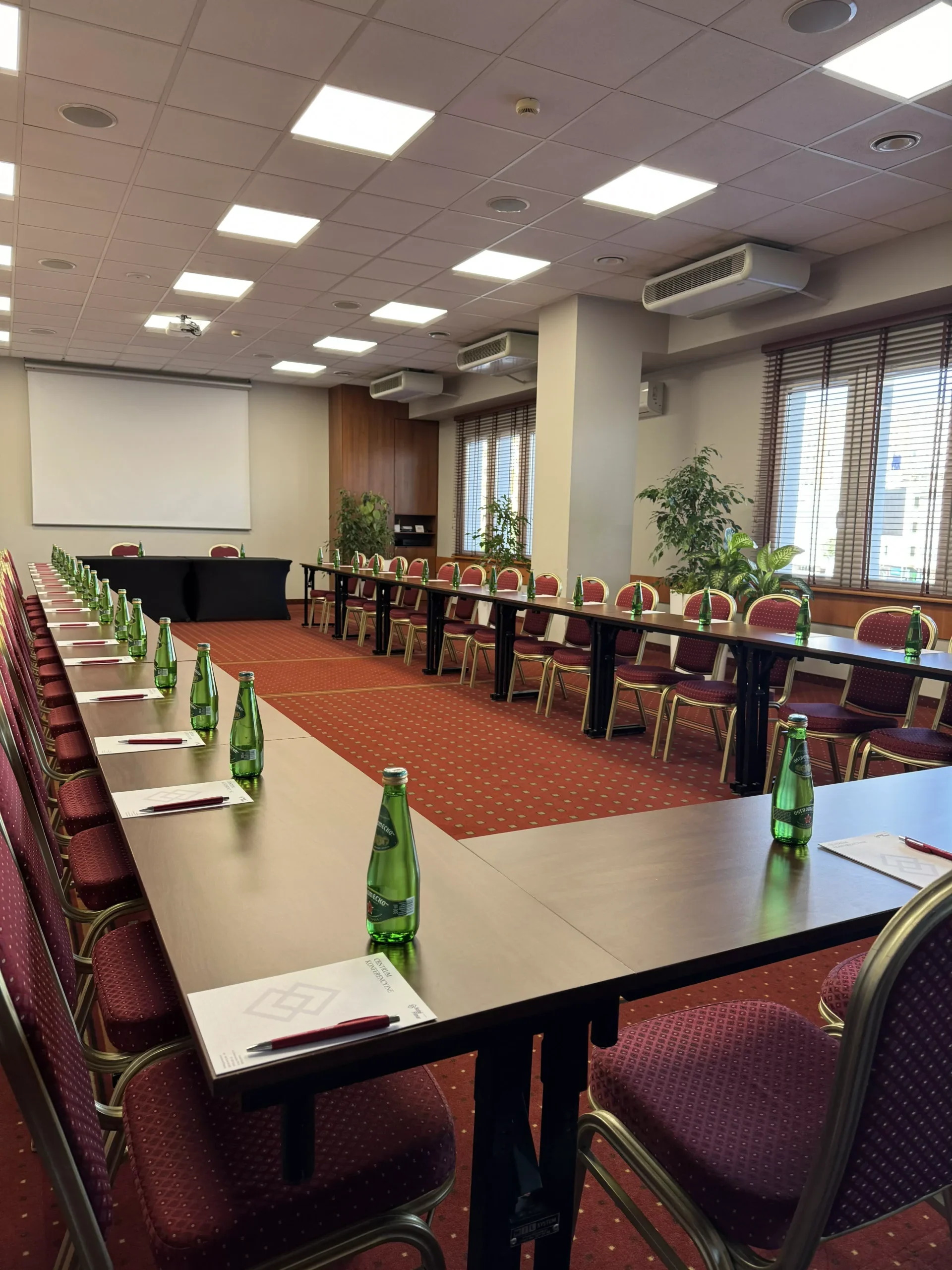 Sale konferencyjne w Hotelu Filmar Sale konferencyjne w Hotelu Filmar