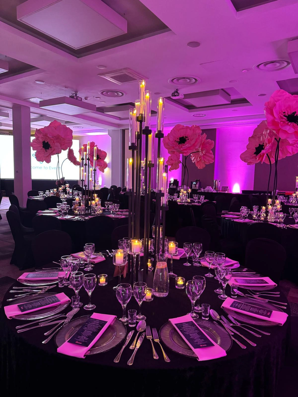 Wesele w Hotelu Filmar Wesele w Hotelu Filmar